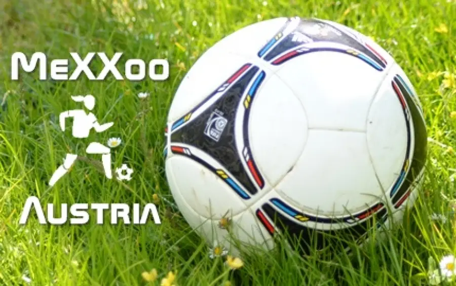 Trotz kämpferischer Leistung musste sich Erlaa geschlagen geben